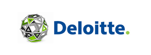 Ranked 11th in “2016 Deloitte Technology Fast50 India”